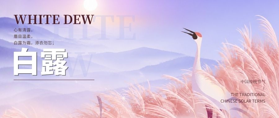 白露｜露从今夜白，秋向此时分