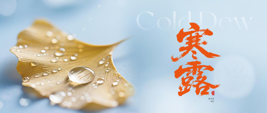 寒露|秋深凉信至，人间暖意生